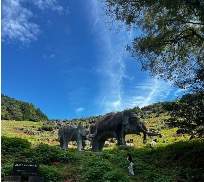秋のハイキング