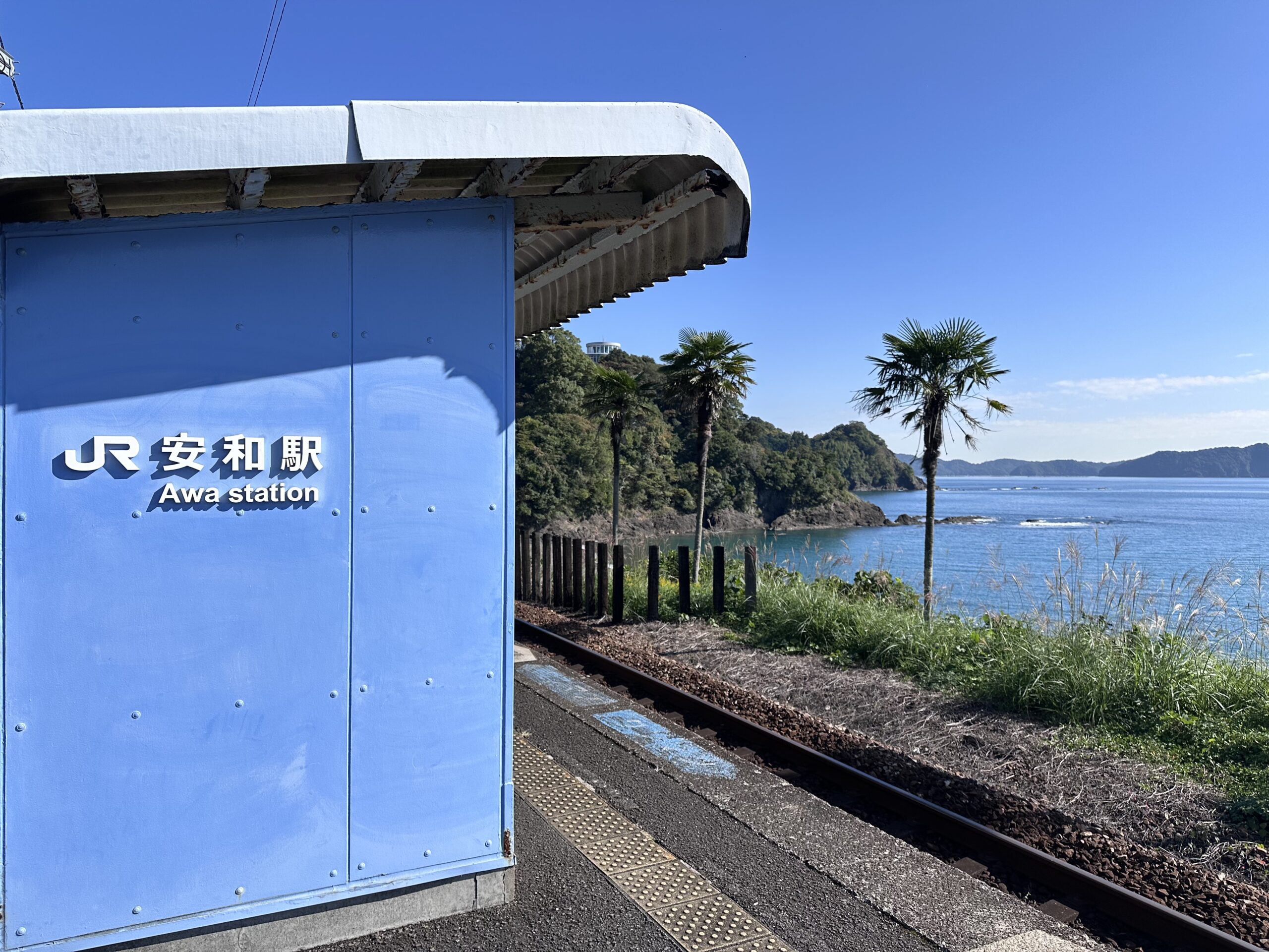 須崎スナップ3